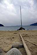 Powi%u0119ksz...